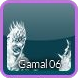 gamal 06