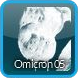Omicron 05